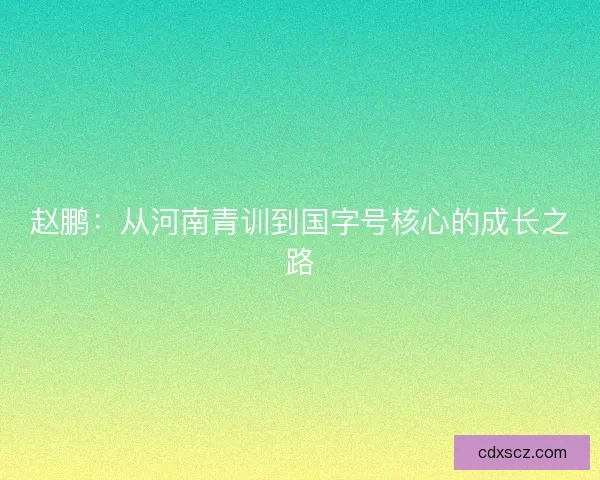 赵鹏：从河南青训到国字号核心的成长之路